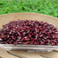 Rice Porridge with Adzuki Beans